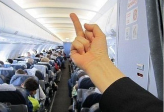 空姐分享向乘客竖中指照片遭公司解雇