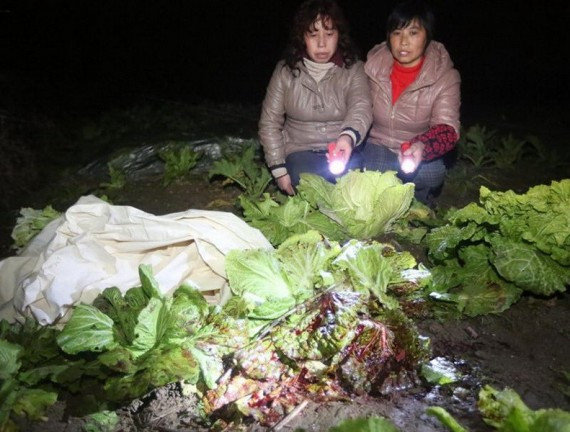湖南新化发生校园惨案 校长阻止行凶被砍死(组图)