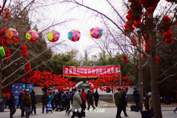 看到这你肯定想回国了！实拍大年初二北京地坛庙会(组图)