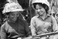 战后越南大量剩女 花钱寻一夜情求子