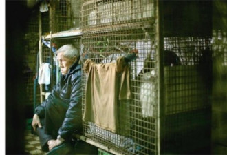 相簿：香港穷人无家可归 住“鸽笼”