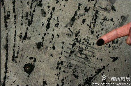 杭州森林公园下“煤雨” 官方无法判断来源(组图)