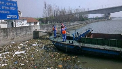 上海黄浦江水源区漂浮大量死猪 4天捞起45头(组图)