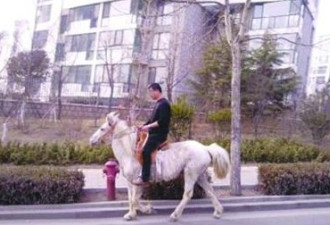青岛街头现“唐僧” 男子骑白马闲逛