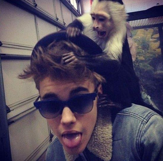 贾斯汀·比伯带宠物猴子赴德演唱 恐遭罚款