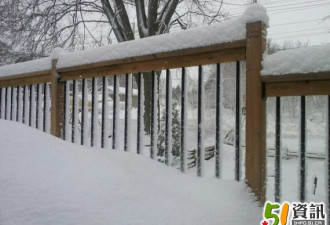 网友上传图片：雪暴蹂躏之后的多伦多