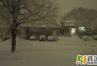 网友上传图片：雪暴蹂躏之后的多伦多