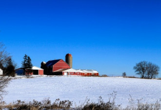 美丽的加拿大冬季 冰雪农场田园风光