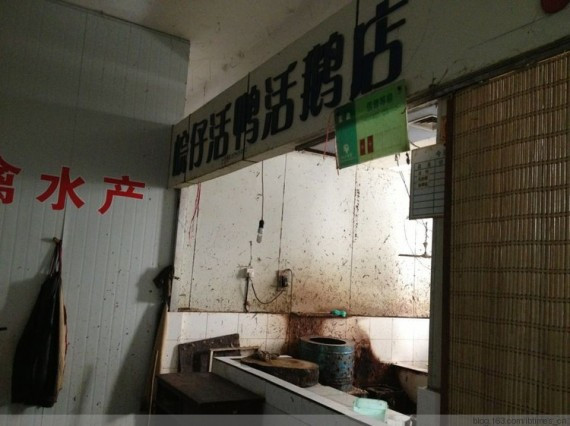 禽流感阴影下的中国：实拍警察值守的医院隔离室(高清组图)