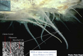 澳洲海下洞穴发现神秘外星人“粘液”