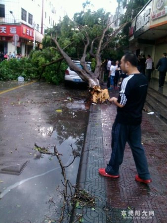 广东多地突遭风雹袭击 在东莞已造成8死136伤(高清组图)