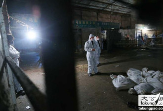 上海鸽子检出H7N9病毒 大量禽鸟被扑杀