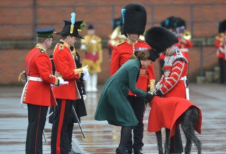 凯特王妃亮相阅兵式 鞋跟被卡遇尴尬