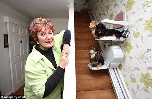 终极爱宠:英国夫妇在家中安装狗狗专用电梯(组图)