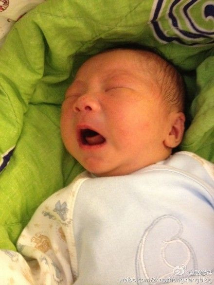 去年12月，赵忠祥在微博中发出的孙子的照片