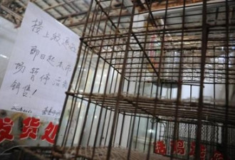 不是玩笑：上海正考虑 永久禁售活禽