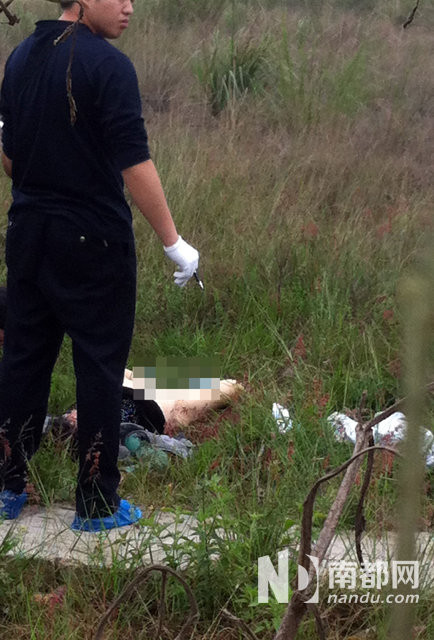 慎入：广东工地附近开店女子死在屋后草丛 疑遭强奸(组图)