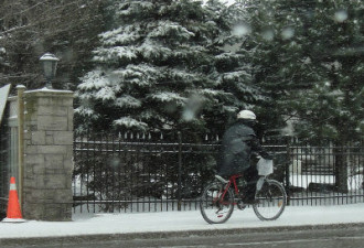 雪+雨+冰：大多伦多地区交通大打结