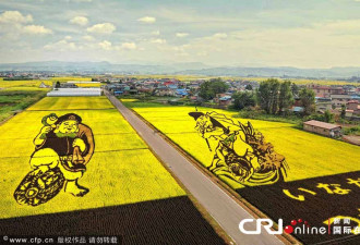 日本农民稻田作画：耗时数月种植而成