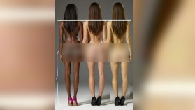 有图有真相 黑、白、黄大对比 黄种人女性的腿最短？(图)
