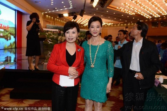 宋祖英穿俏丽蓝裙出席公益活动与李瑞英拥抱(高清组图)