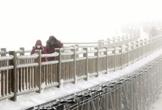 日札幌市5月罕见降大雪 北海道冰天雪地