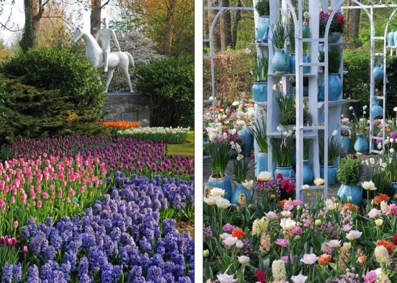 探访阿姆斯特丹世界最大花园：700万株美丽花朵怒放(组图)
