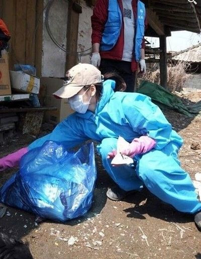宋慧乔十年如一日关爱流浪狗 被赞天使般善良(图)