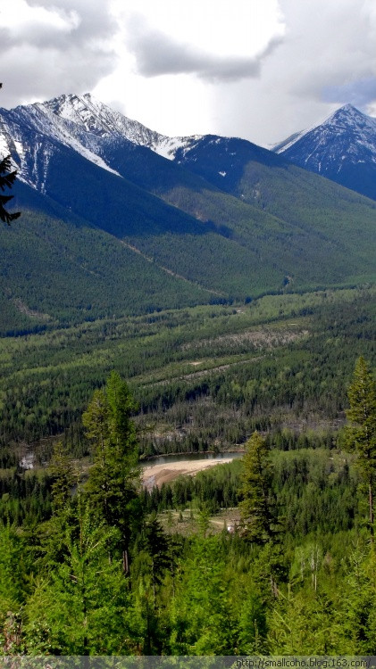 慎入：扛枪穿行在山水如画的加拿大 5月猎大熊(高清组图)