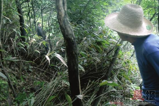 慎入:长沙男子街头捅死妻子 被发现上吊缢死山中(组图)