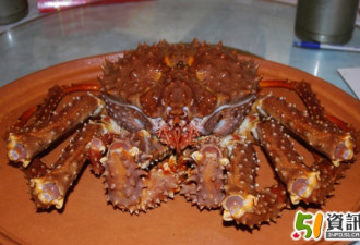 OMEI食记：12磅阿拉斯加皇帝蟹令人惊叹
