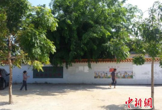 小学校长带幼女开房案：4天了下体还出血