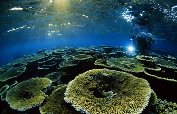 全球十大神秘绝美群岛：阿尔达布拉岛无人居住(组图)