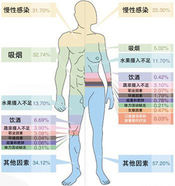 致癌因素比例