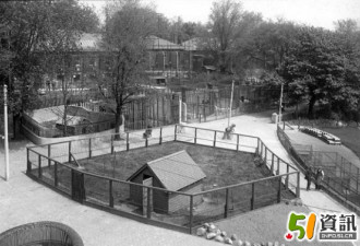 老照片：多伦多的第一个动物园