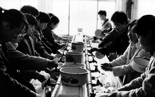 摄影作品《我的大学》:属于70后一代人的青春记忆(组图)