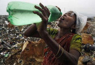 探访印度：活在垃圾堆上的人们和动物