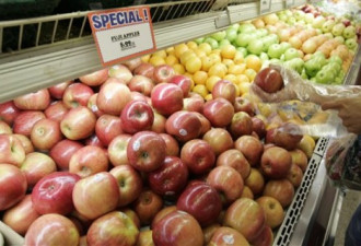 加美纠纷：从美国进口的食品价格飙升