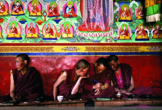 实拍印度藏区寺庙的女尼 雪域修道者
