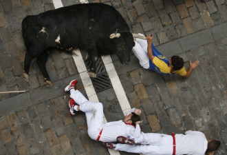 西班牙奔牛节惨案 男子被牛刺伤下体