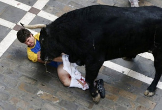 西班牙奔牛节惨案 男子被牛刺伤下体