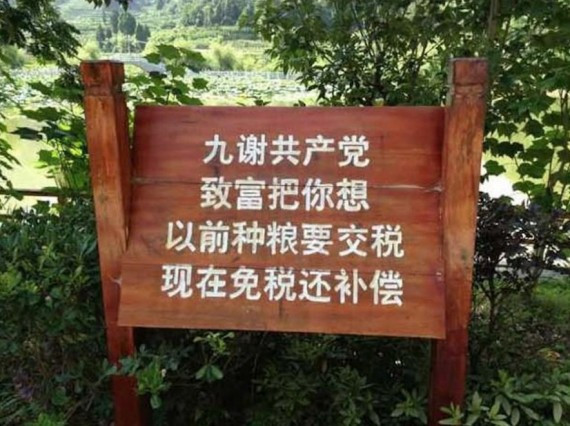 《十谢共产党》歌词走红 网友:这简直是冷笑话精选(组图)