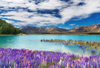 新西兰7座迷死人的湖泊：夺人心魄的美丽