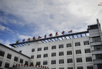 触摸历史伤痕：探访北大荒知青精神病院