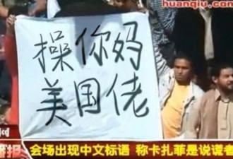 中文抗议标语在全世界走红 还有国骂