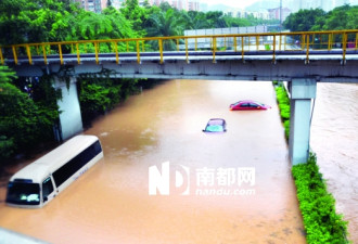 深圳暴雨淹水 31岁女子驾车溺亡涵洞