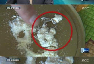 韩国奶粉产品中惊现死青蛙 网友愤怒