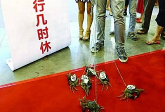 南京房展会上男子牵螃蟹 抗议高房价