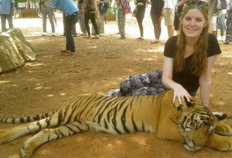 女生在泰国游玩抚摸老虎险被扑咬丧命