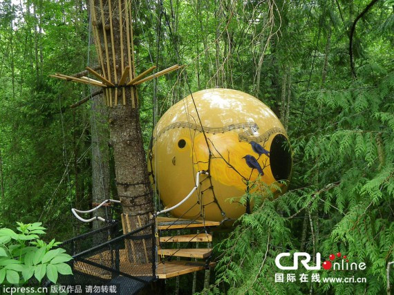 加拿大男子巨资打造树上圆形屋 装潢精美(高清组图)